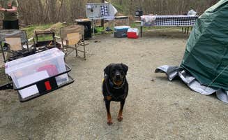 Sarah M.'s photo of camping with pets at Elk Neck State Park Campground near Middletown, DE