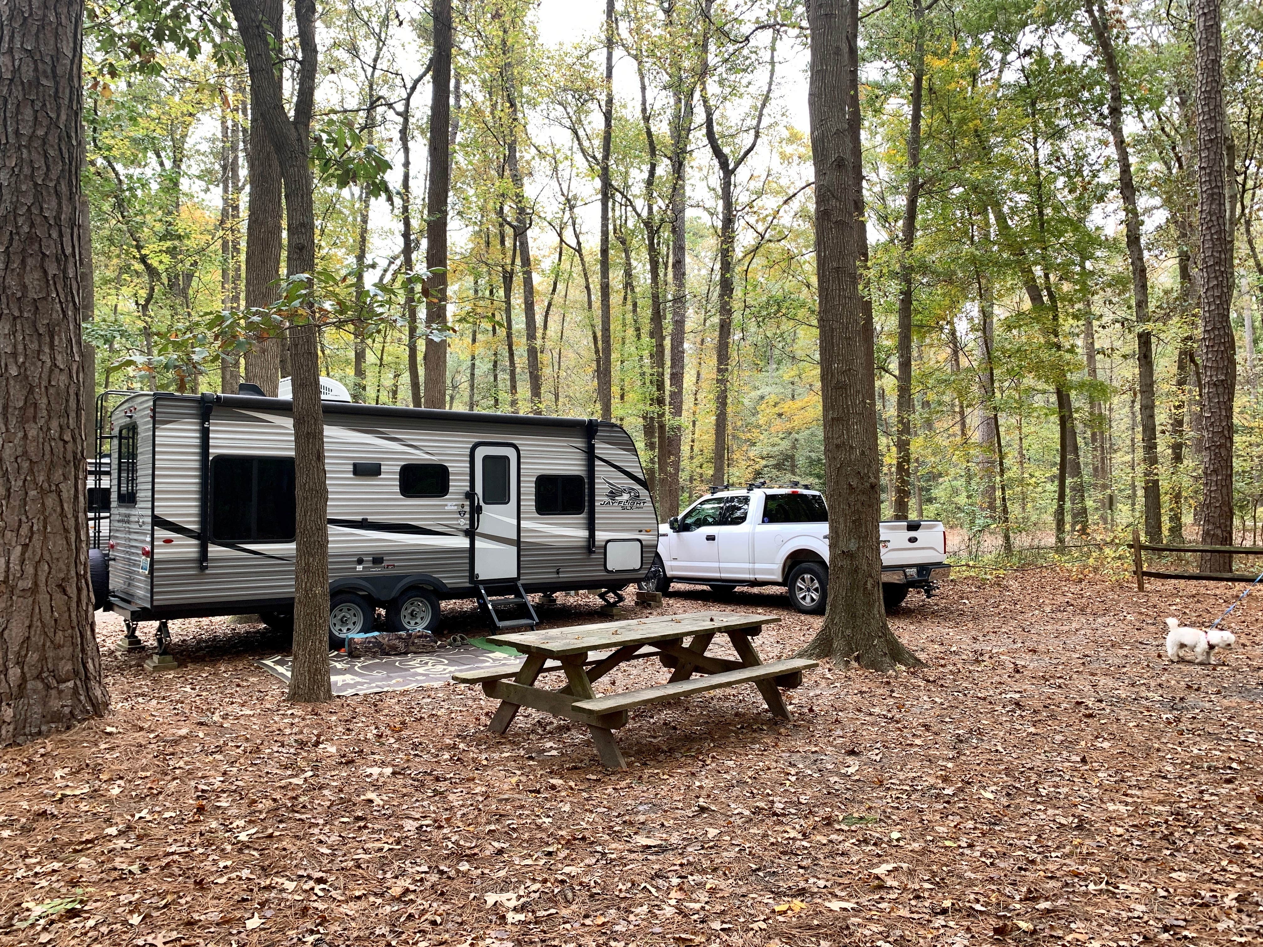 Laure D.'s photo at Trap Pond State Park Campground near Denton, MD