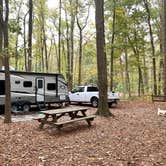 Review photo of Trap Pond State Park Campground by Laure D., November 7, 2021