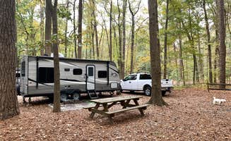 Laure D.'s photo at Trap Pond State Park Campground near Seaford, DE