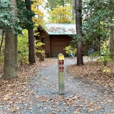 Review photo of Trap Pond State Park Campground by Laure D., November 7, 2021