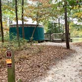 Review photo of Trap Pond State Park Campground by Laure D., November 7, 2021