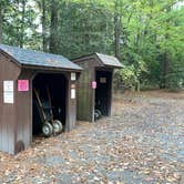 Review photo of Trap Pond State Park Campground by Laure D., November 7, 2021