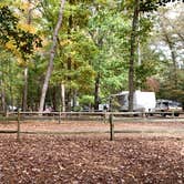 Review photo of Trap Pond State Park Campground by Laure D., November 7, 2021