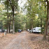 Review photo of Trap Pond State Park Campground by Laure D., November 7, 2021