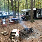 Review photo of Trap Pond State Park Campground by Laure D., November 7, 2021