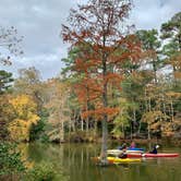 Review photo of Trap Pond State Park Campground by Laure D., November 7, 2021