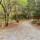 Review photo of Trap Pond State Park Campground by Laure D., November 7, 2021