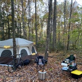 Review photo of Chestnut Creek Campground by Rich K., November 7, 2021