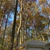 Review photo of Chestnut Creek Campground by Rich K., November 7, 2021