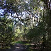 Review photo of Rocky Creek (Somerville Lake) by Lori C., November 7, 2021