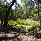 Review photo of Rocky Creek (Somerville Lake) by Lori C., November 7, 2021