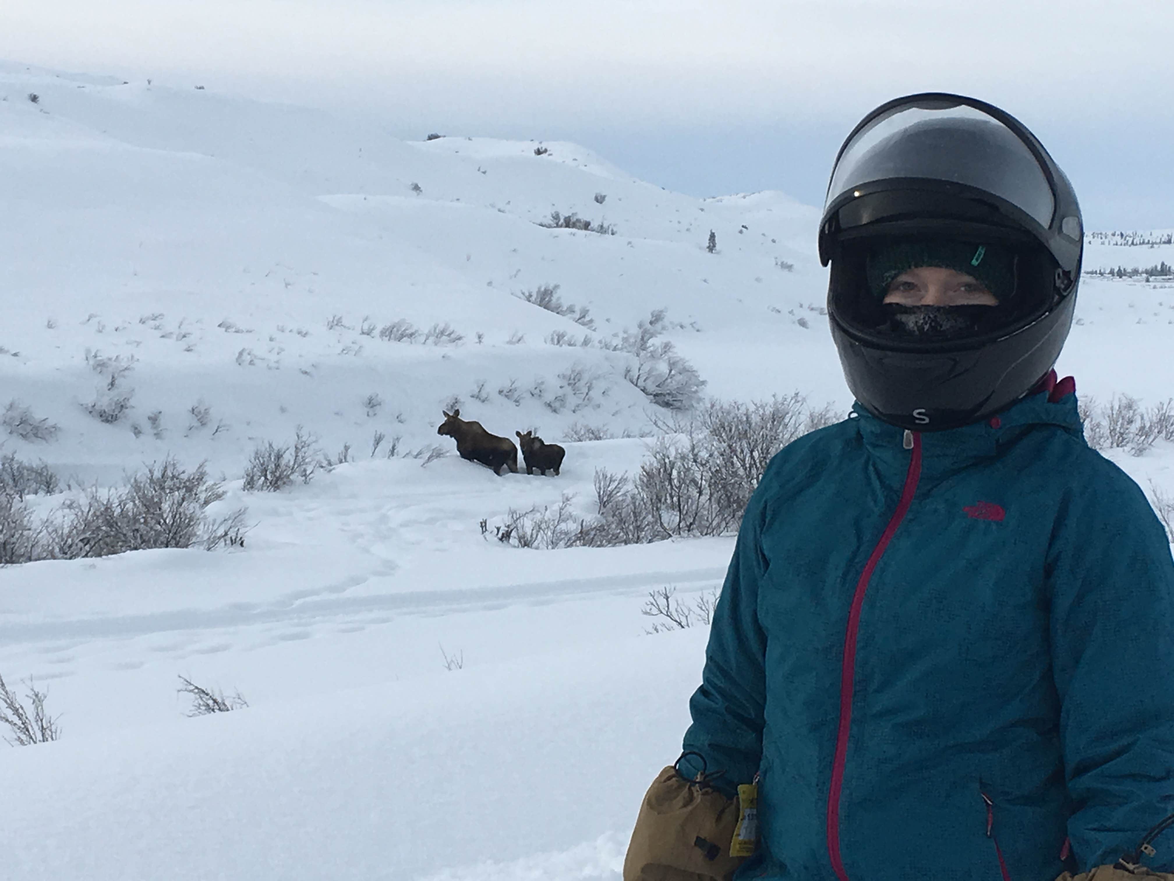 Camper-submitted photo at Maclaren River Lodge near Fort Greely, AK