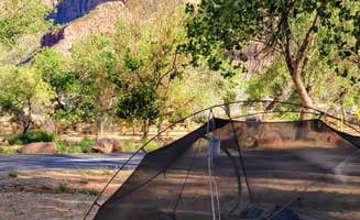 Julie D.'s photo at South Campground — Zion National Park near Zion National Park
