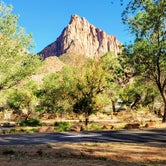Review photo of South Campground — Zion National Park by Julie D., November 7, 2021