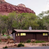 Review photo of South Campground — Zion National Park by Julie D., November 7, 2021