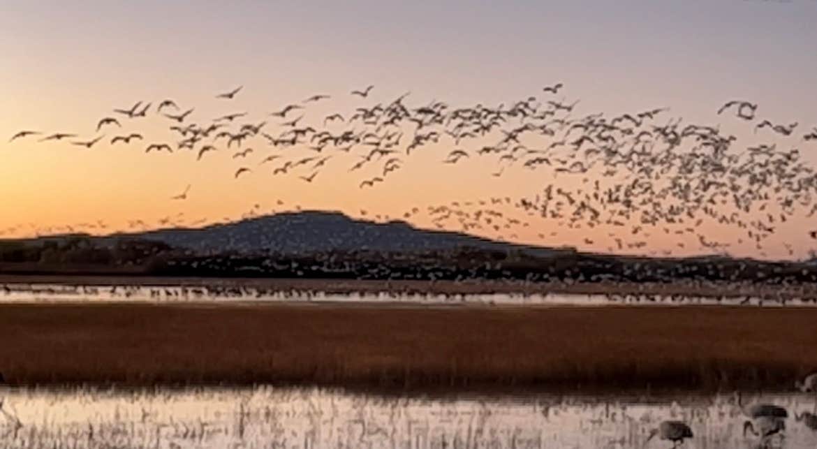 Camper-submitted photo at Chupadero Mountainview RV Park near Polvadera, NM