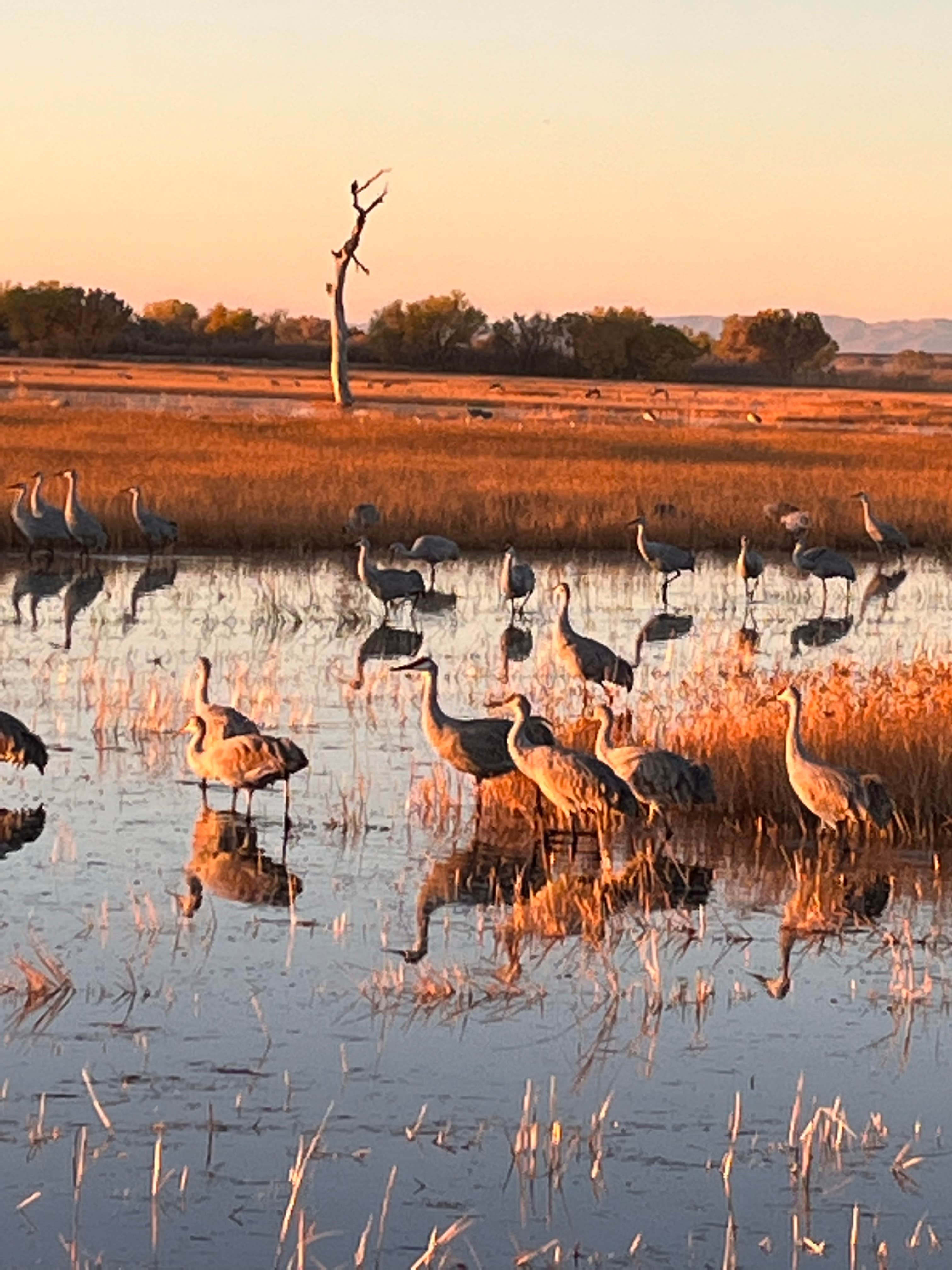 Camper-submitted photo at Chupadero Mountainview RV Park near Polvadera, NM