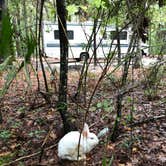 Review photo of Blythe Island Regional Park by Mark , November 7, 2021