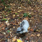 Review photo of Blythe Island Regional Park by Mark , November 7, 2021