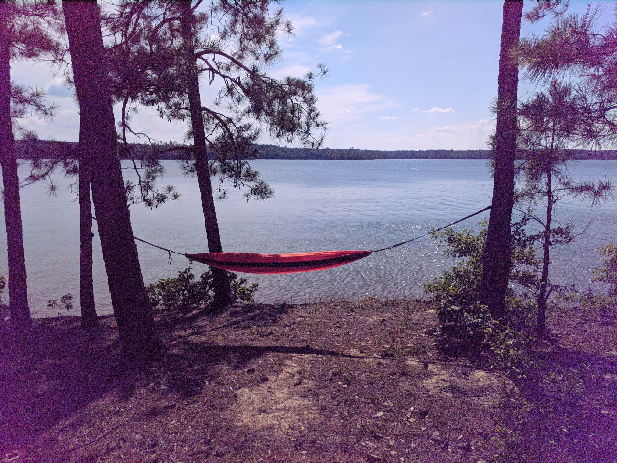 Camper-submitted photo at Leroys Ferry near Lincolnton, GA