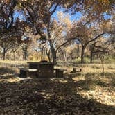 Review photo of San Antonio Bosque Park by AJ A., November 7, 2021