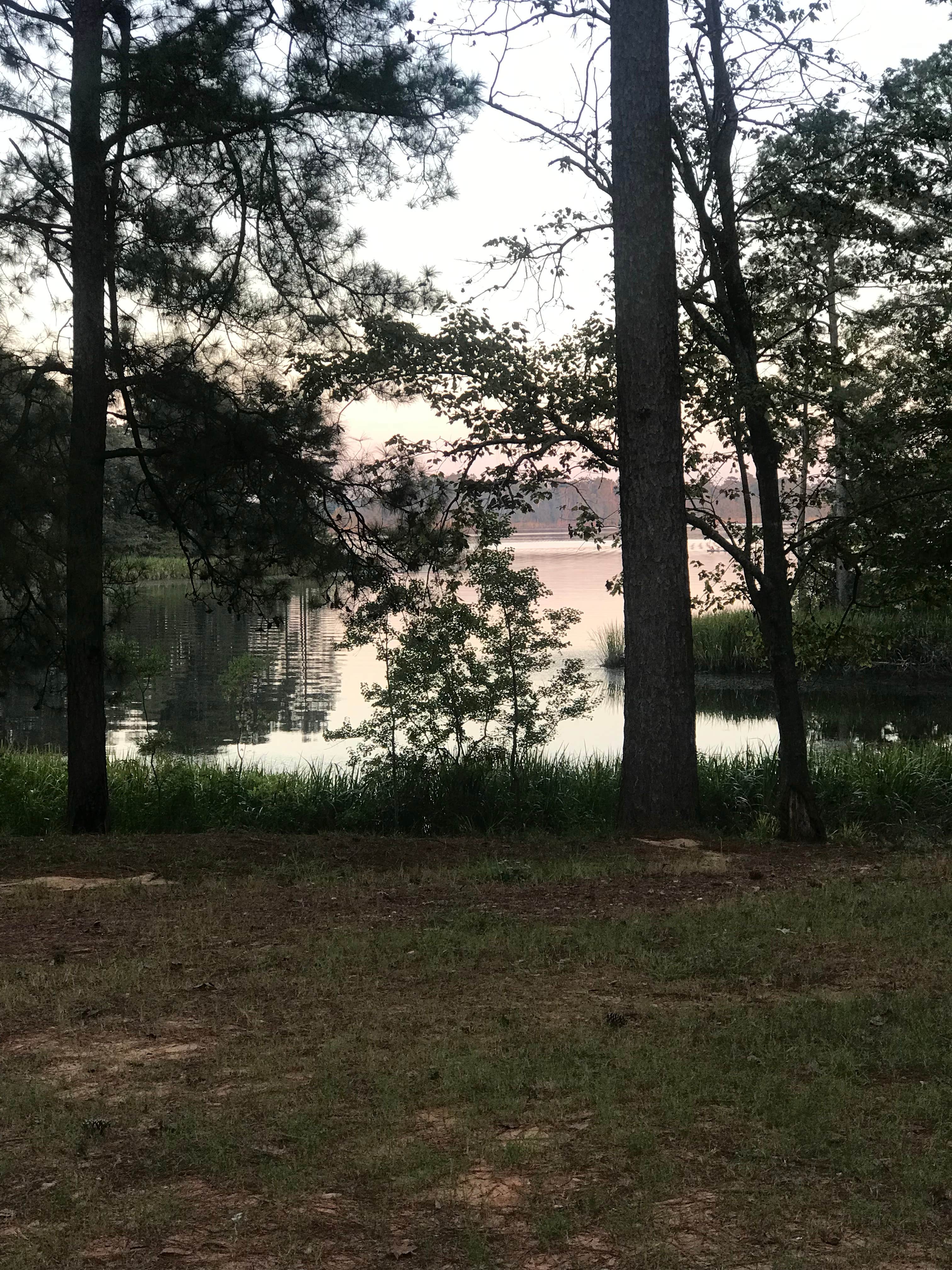 Camper-submitted photo at Indian Creek Campground near Covington, LA