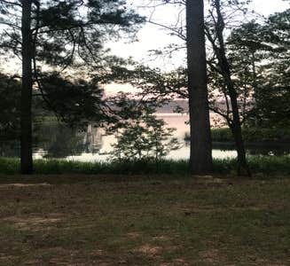 Camper-submitted photo from Lake Fausse Pointe State Park Campground