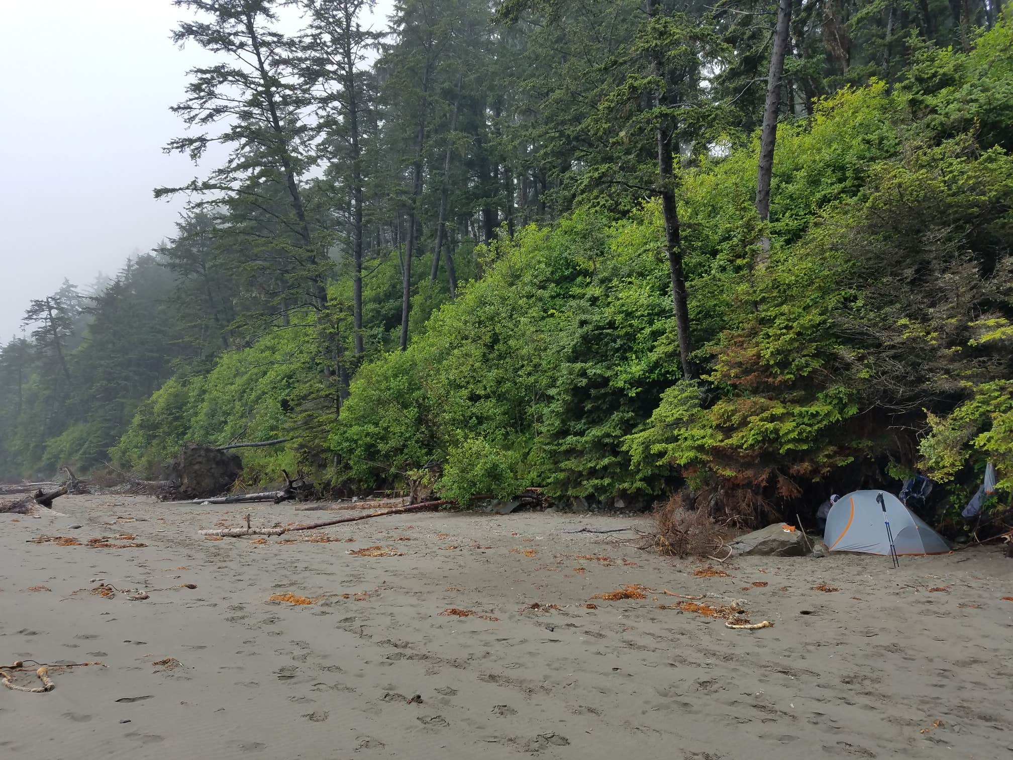 Lauren E.'s photo of tent camping at Second Beach — Olympic National Park near Forks, WA