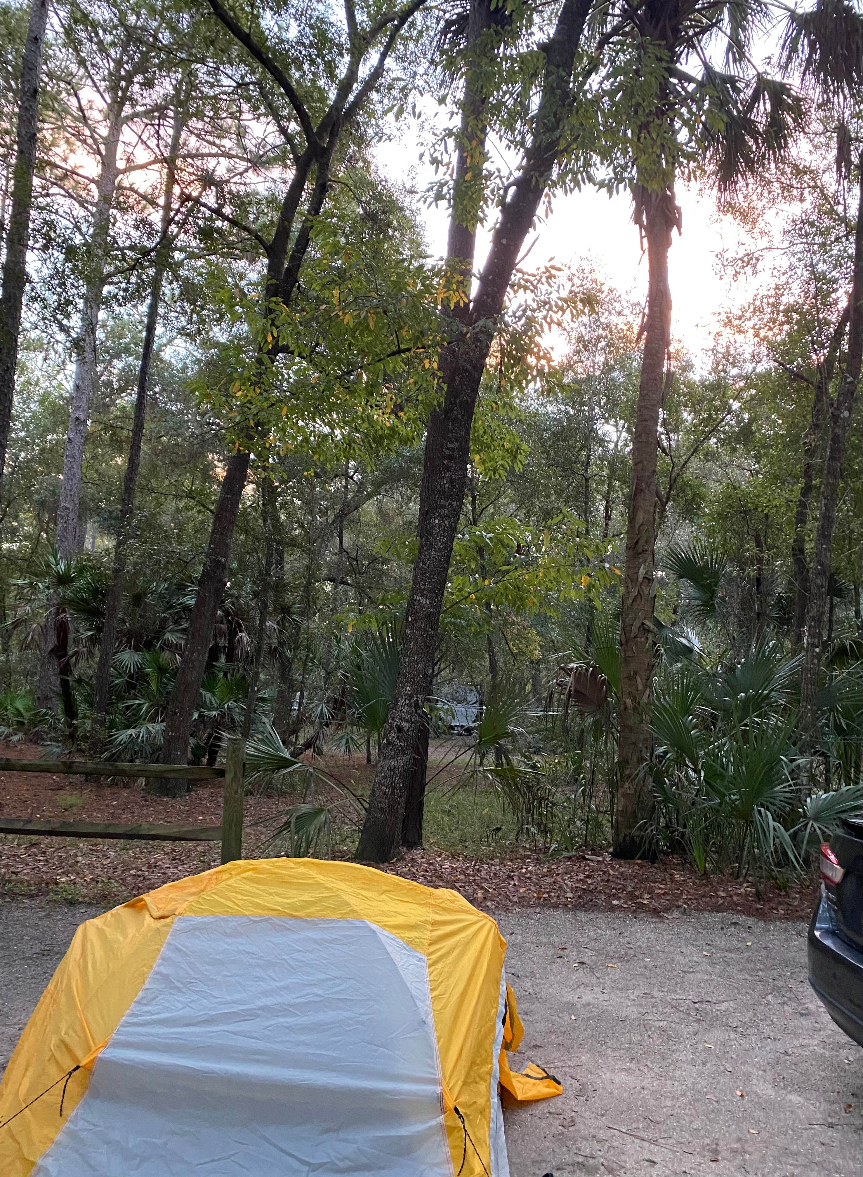 Rishi  B.'s photo at Wekiwa Springs State Park Campground near Lake Mary, FL