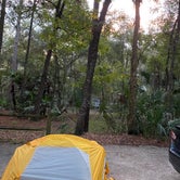 Review photo of Wekiwa Springs State Park Campground by Rishi  B., November 7, 2021