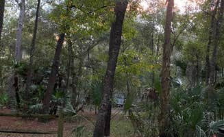 Rishi B.'s photo at Wekiwa Springs State Park Campground near Orlando, FL