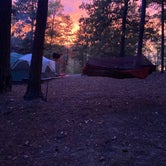 Review photo of Calhoun Falls State Park Campground by Justin S., November 6, 2021