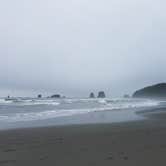 Review photo of Second Beach — Olympic National Park by Lauren E., July 6, 2018