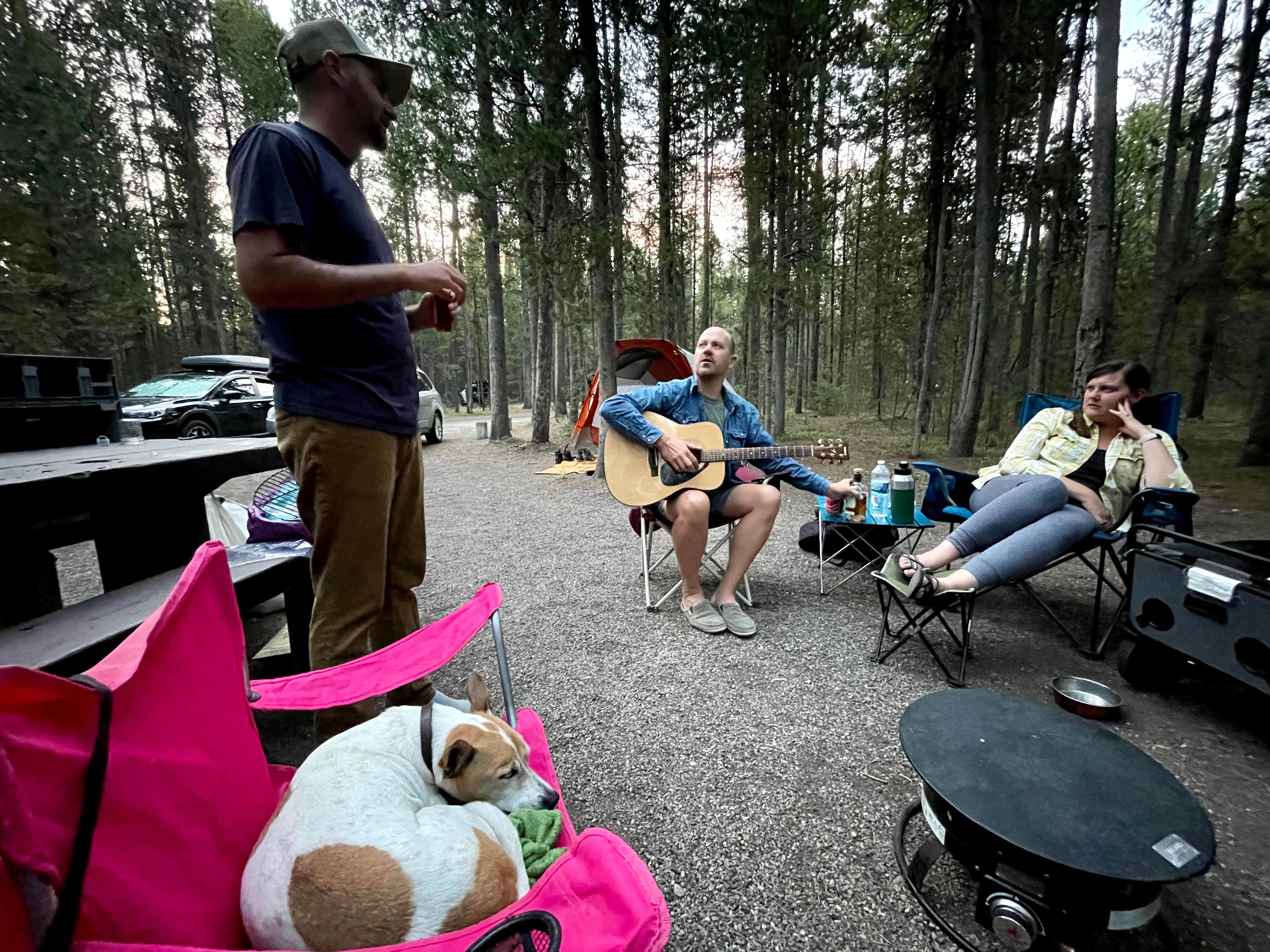 Julie D.'s photo of camping with pets at Rainbow Point Campground near West Yellowstone, MT