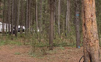 Julie D.'s photo of camping with pets at Rainbow Point Campground near West Yellowstone, MT