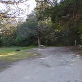 Review photo of Huntington Beach State Park Campground by Aubrey O., November 7, 2021