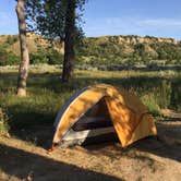 Review photo of Cottonwood - Theodore Roosevelt National Park by Diane N., July 6, 2018