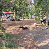 Review photo of Headwaters Campground at Flagg Ranch — John D. Rockefeller, Jr., Memorial Parkway by Julie D., November 7, 2021