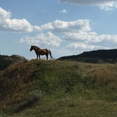 Review photo of Cottonwood - Theodore Roosevelt National Park by Diane N., July 6, 2018