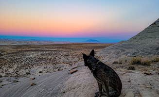 Jasonne Y.'s photo of camping with pets at Corral Dispersed — Glen Canyon National Recreation Area near Lake Powell, UT