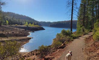 Julie D.'s photo of camping with pets at Giant Gap near Nevada City, CA