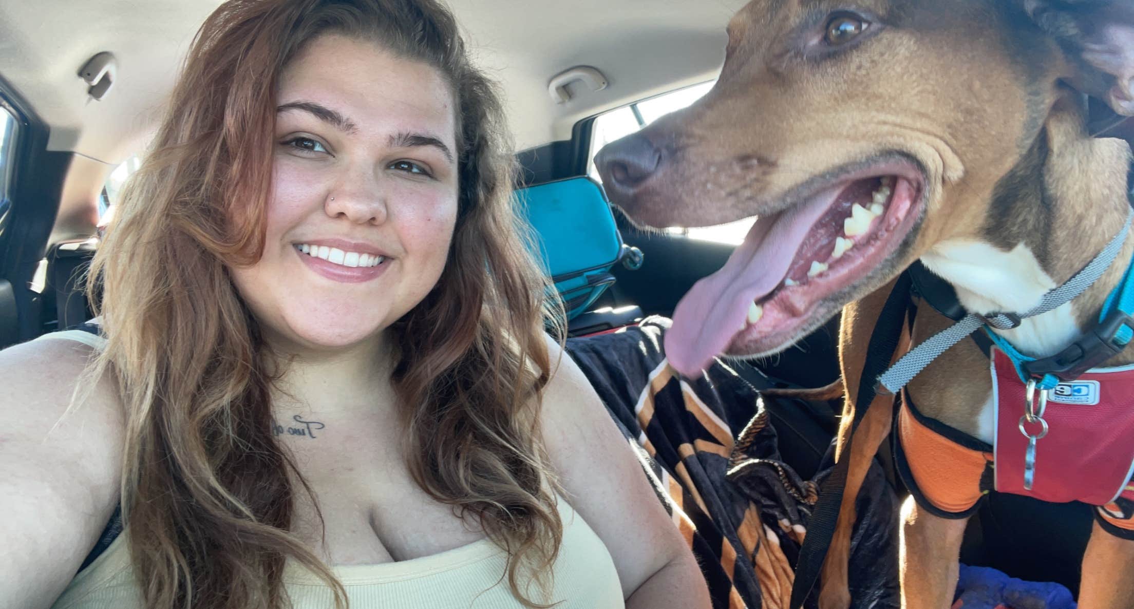 Taleah U.'s photo of camping with pets at Alto Pit OHV Campground near Congress, AZ