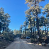 Review photo of Alto Pit Ohv Campground by Taleah U., November 7, 2021