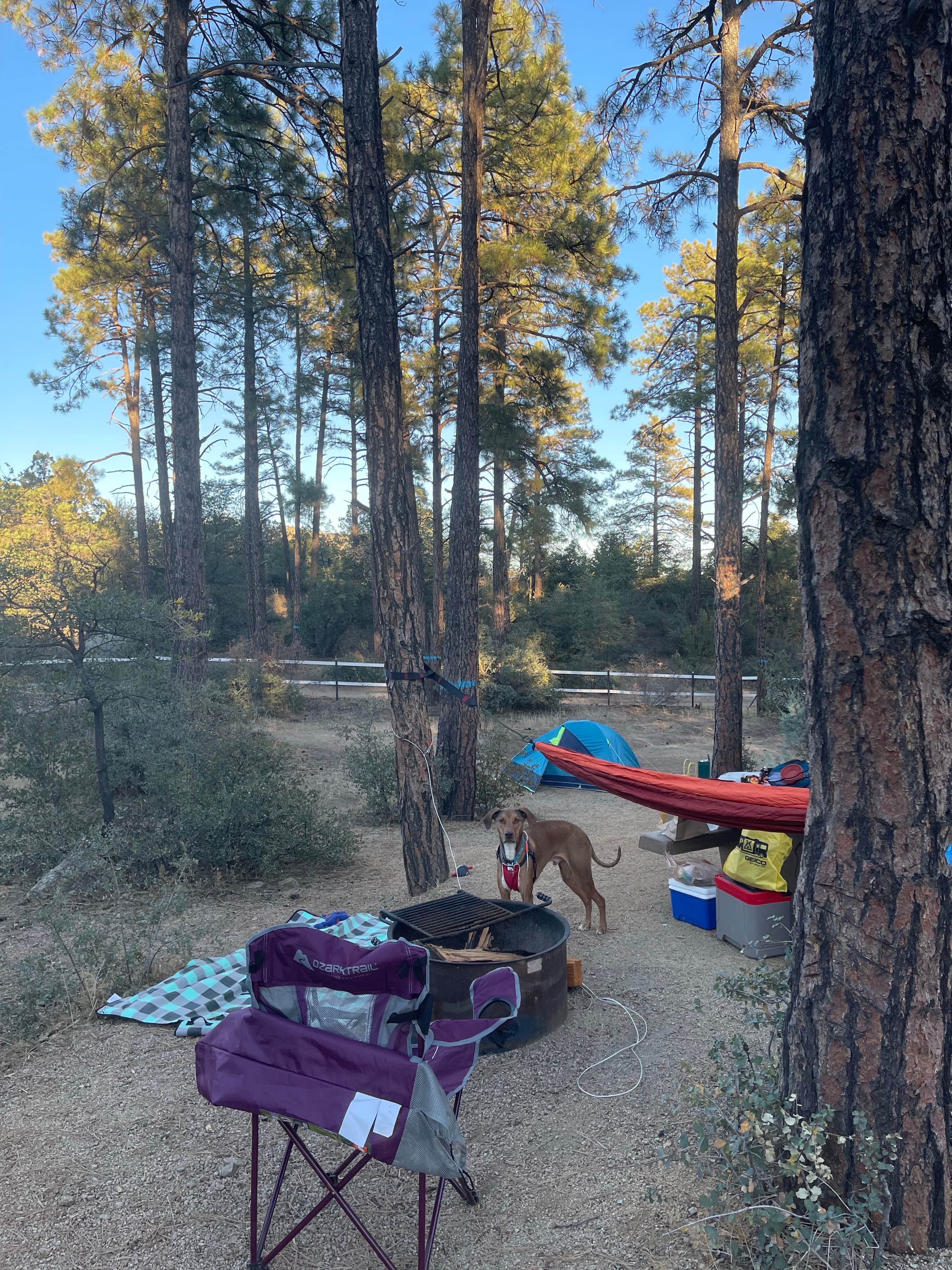 Taleah U.'s photo at Alto Pit OHV Campground near Prescott, AZ