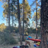 Review photo of Alto Pit OHV Campground by Taleah U., November 7, 2021