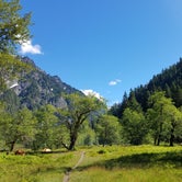 Review photo of Enchanted Valley — Olympic National Park by Lauren E., July 6, 2018