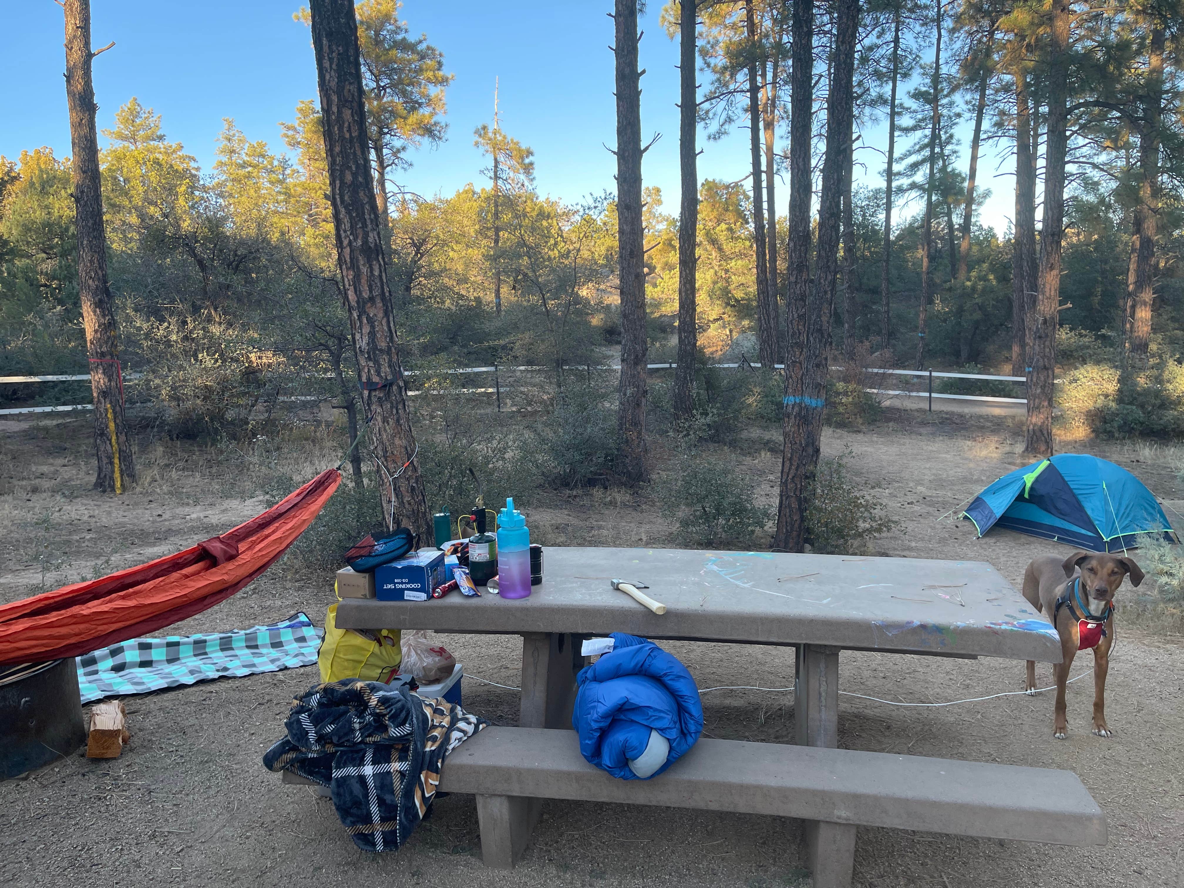 Camping near Granite Basin Recreation Area: Alto Pit OHV Campground, Prescott, Arizona