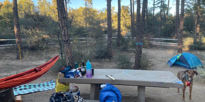 Camper submitted image from Alto Pit OHV Campground