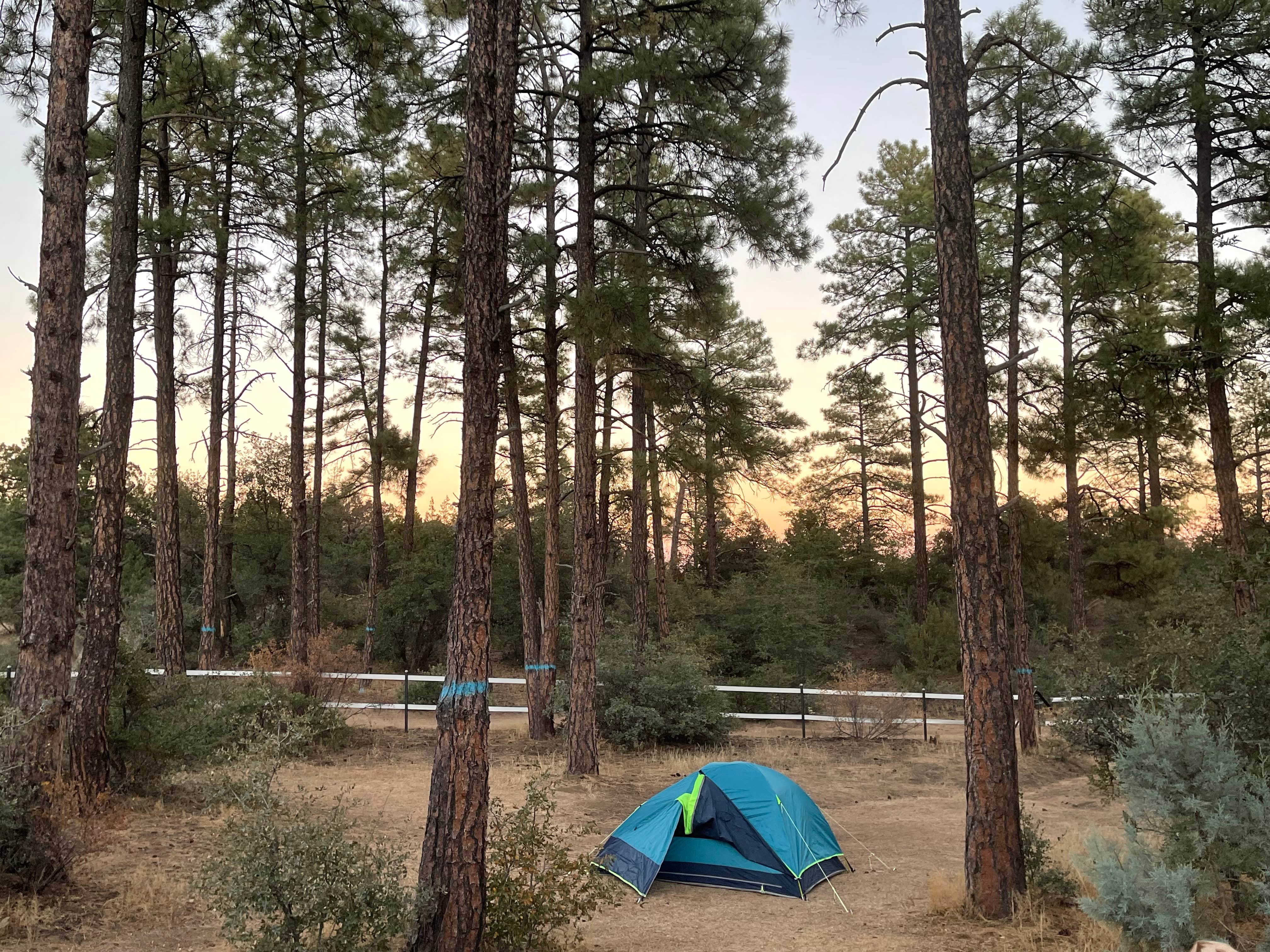 Camper submitted image from Alto Pit OHV Campground - 3